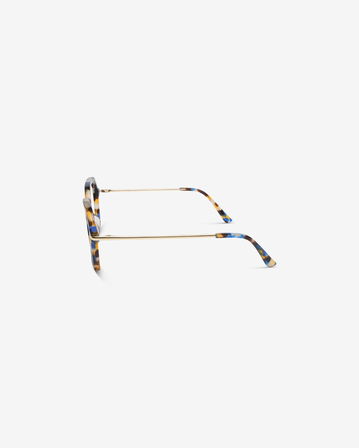 Megan Blue Tortoiseshell - Blue Light