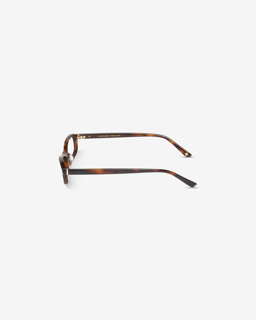 Montrose Tortoiseshell - Blue Light